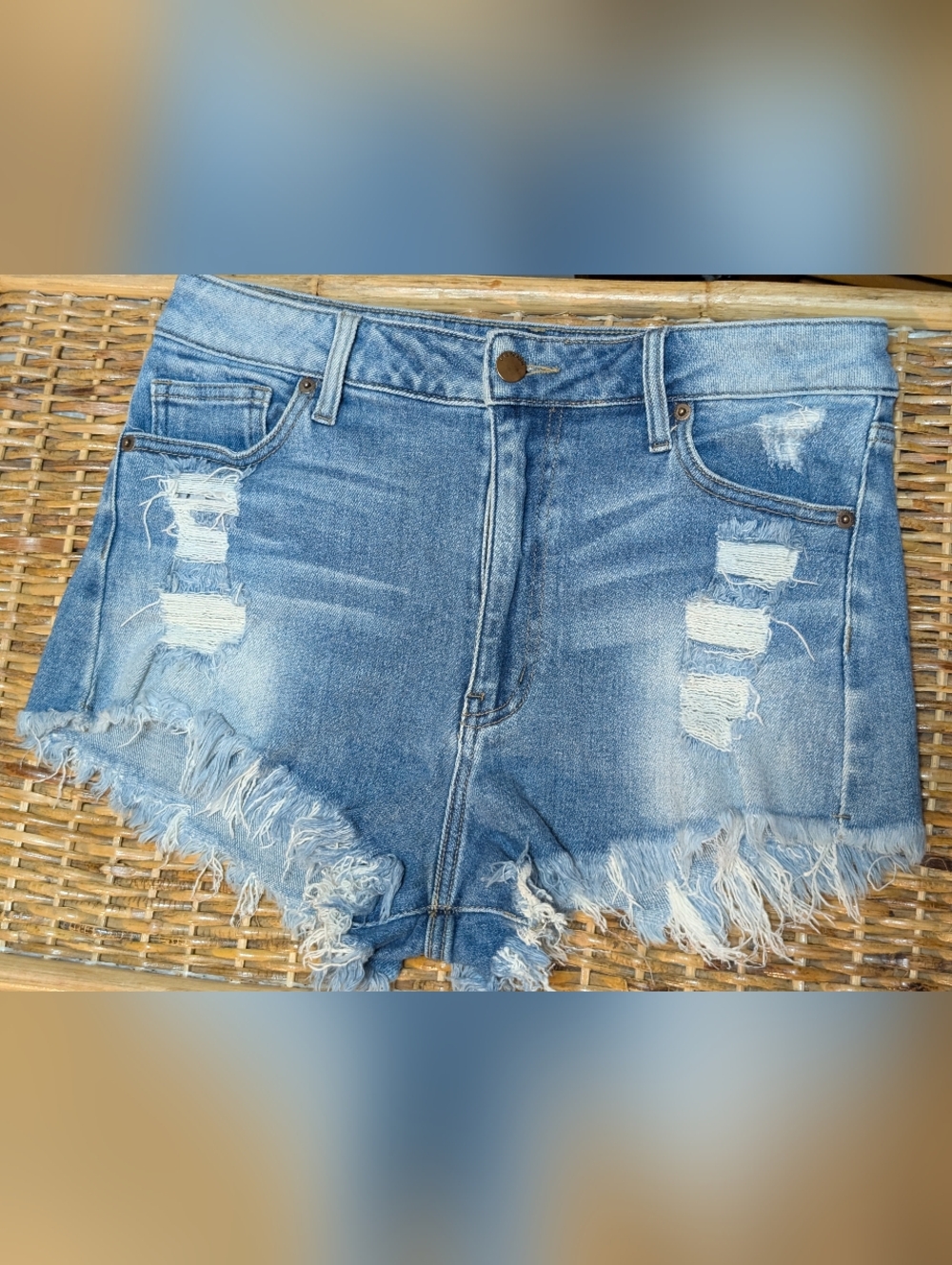 L.T.J. Large Letter To Juliet Denim Blue Jean Short Shorts Distressed